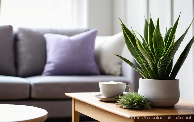 혼술과 식물   술과 어울리는 향초 추천 - **Prompt:** A serene and cozy evening scene in a tastefully decorated living room. A person, wearing...